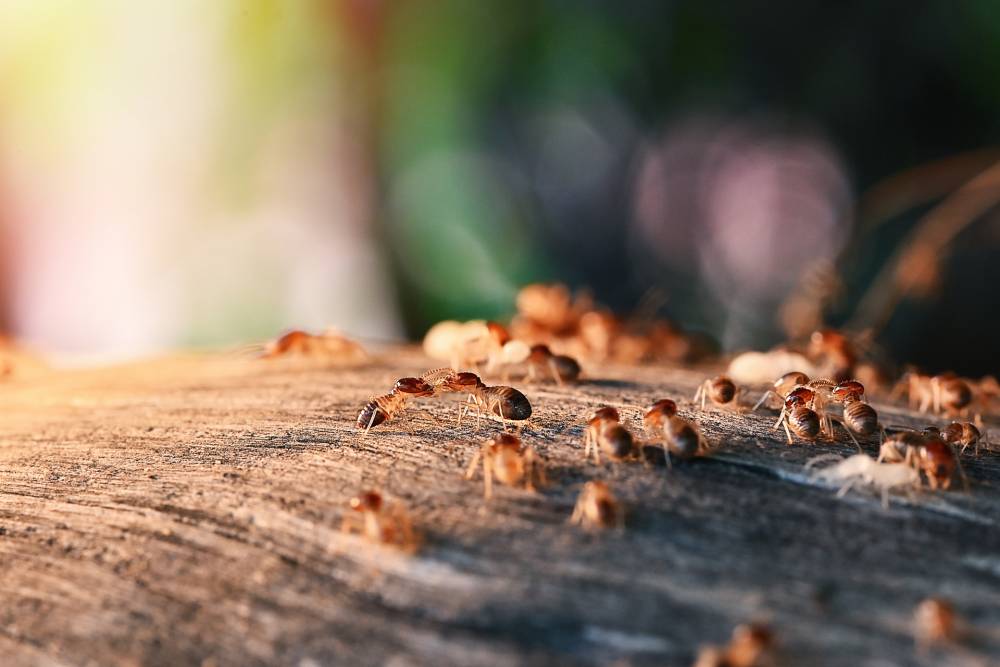 AdobeStock_347054021(1).jpeg